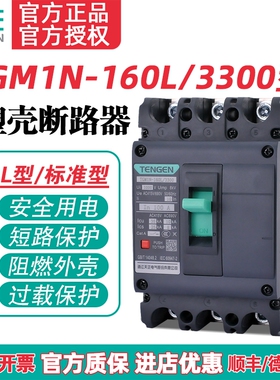 TENGEN天正电气 TGM1N-160L/3300 160A塑壳断路器空气开关3P 380V