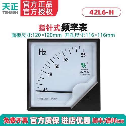 天正频率表赫兹表TENGEN