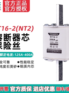 TENGEN天正电气 RT16-2 NT2 RT36-2 熔断器芯 保险丝315A350A400A
