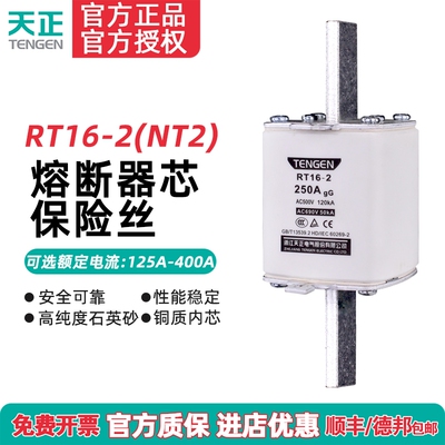 TENGEN天正电气 RT16-2 NT2 RT36-2 熔断器芯 保险丝315A350A400A
