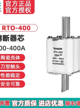 TENGEN天正电气 RTO-400熔断器RT0-400陶瓷熔芯200 300 315A 250A