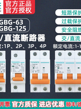 TENGEN天正TGBG直流断路器1P2P直流空气开关32A63A电动电瓶车用DC