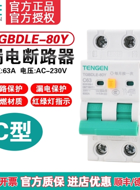 TENGEN天正TGBDLE-80Y漏电断路器 C型断路器空气开关漏保2P 220V