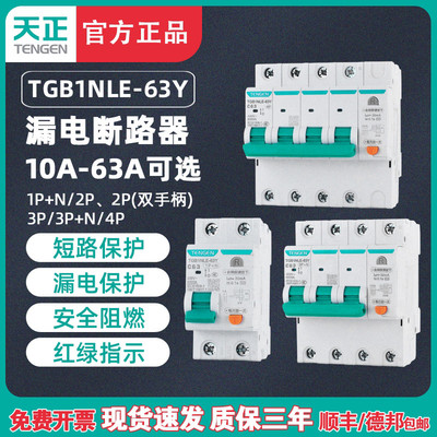 天正小体积漏电保护断路器TGB1NLE-63Y空气开关23P家用220V窄体型