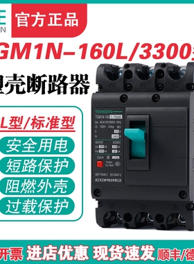 TENGEN天正电气 TGM1N-160L/3300 160A塑壳断路器空气开 关3P 380