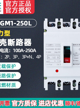 天正TGM1-250L/33002电动机保护塑壳断路器 空气开关200A160A250A