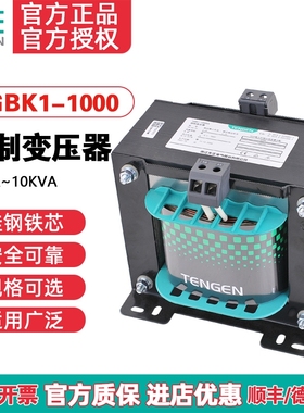 天正TGBK1-1000VA隔离机床控制变压器交流380 220变220 110 36 24