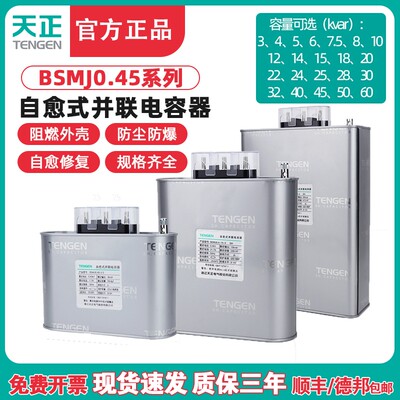 TENGEN天正bsmj0.45电力电容器