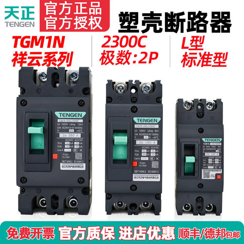 TENGEN天正 TGM1N-63 125 160 250A塑壳断路器2P空气开关2300C