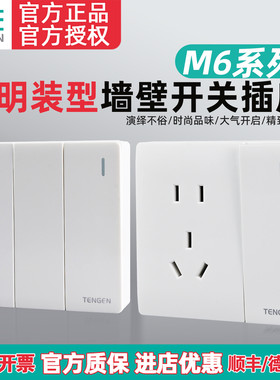 TENGEN天正M6明装墙壁开关插座面板86型家用空调多孔一开五孔白色