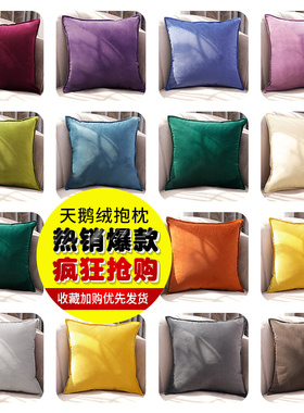 现代简约橙色抱枕天鹅绒沙发抱枕办公室腰枕轻奢方形抱枕套不含芯