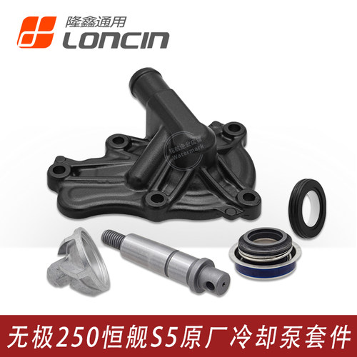 隆鑫无极250恒舰S5发动机冷却泵