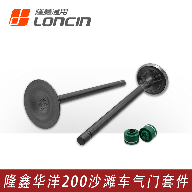隆鑫沙滩车LX200发动机气门套件