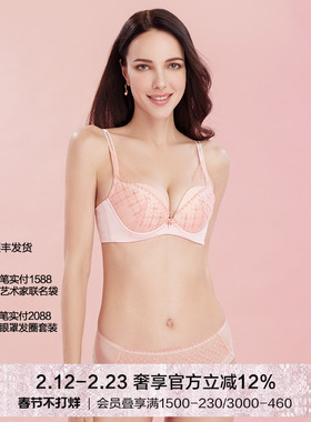 LACLOVER兰卡文星河闪烁薄透内裤蕾丝三角裤LC22SR1