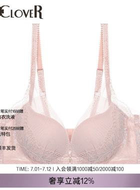 LACLOVER兰卡文轻舞美塑3/4模杯性感蕾丝内衣LC11UB2