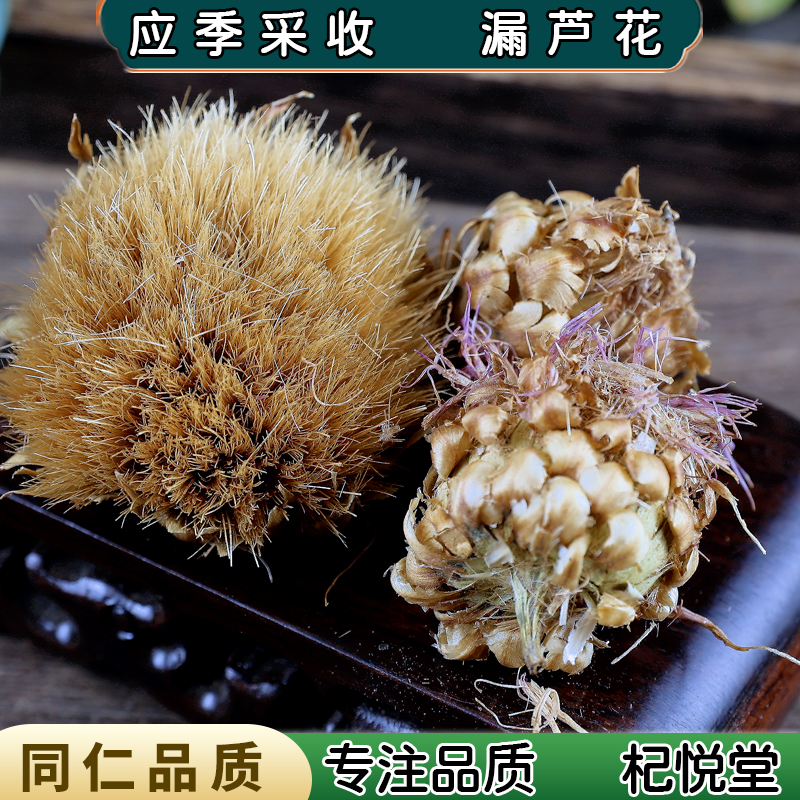 杞悦堂安徽漏芦花散装精选