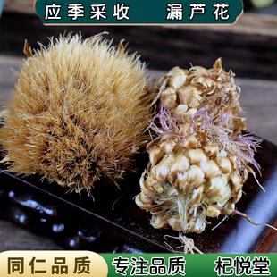 【任选3件包邮】中药材 漏芦花 干货 漏芦花