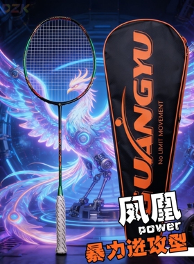 羽毛球球拍全碳素4u进攻专用球拍男生扣杀型训练羽毛球拍单拍高w2