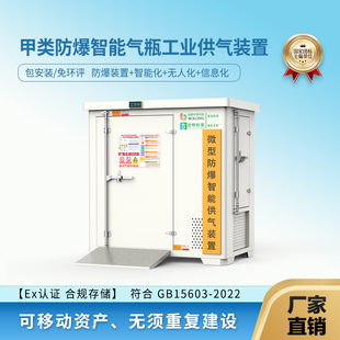 实验室防爆气瓶柜双瓶氧气乙炔氮气储存柜智能泄漏报警全钢安全柜
