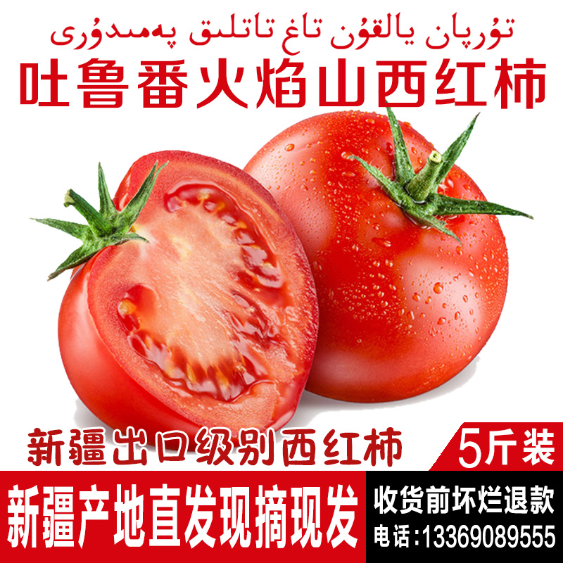 н®Í³·¬Î÷ºìÊÁ5½ï»ðÑæÉ½ÌìÈ»ÊìÐÂÏÊÎ÷ºìÊÁË®¹ûÉú³ÔɳȿÎ÷ºìÊÁ