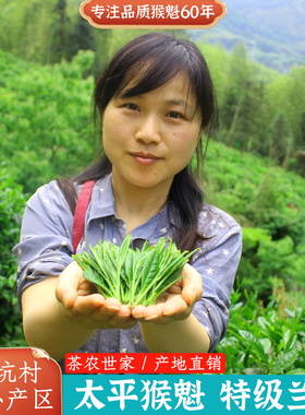 正宗太平猴魁新茶猴村兰花香手工捏尖黄山绿茶叶特级铁盒包装250g