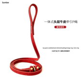 新年遛狗防爆冲狗狗牛皮牵引绳P绳小中大型犬红色狗绳项圈防咬断