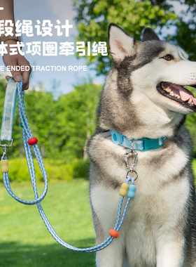 高颜值防丢狗绳脖套狗狗牵引绳防挣脱p链小中大型犬可放定位项圈