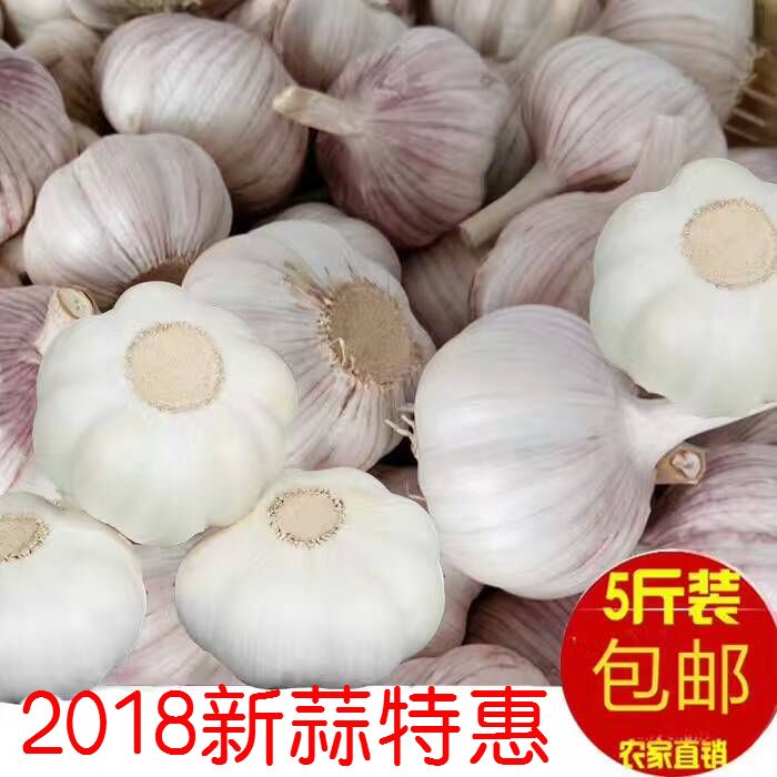 ÐÂÏÊÇÀ¹º