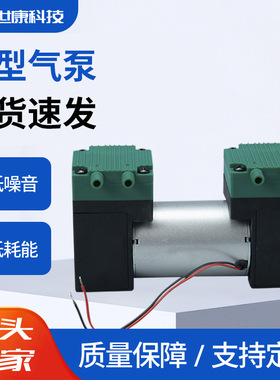 2AP51-1双头微型隔膜DC12V小型气磅喷枪抽打两用真空电动静音气泵