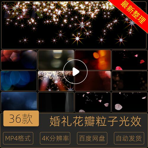 36组浪漫婚礼花瓣粒子光效摄影师常用高清婚纱旅拍视频模板PR素b1