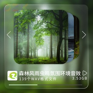 139款 权音效Pb7 大自然森林户外风雨雷虫鸣氛围环境无损高品质无版