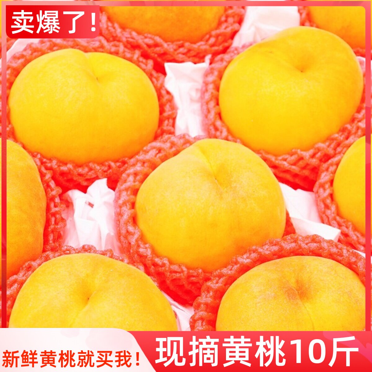 现摘砀山新鲜黄桃10斤孕妇水果大毛黄桃子应当季蜜桃时令大果软甜