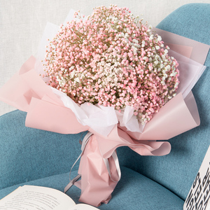 云南大束满天星干花