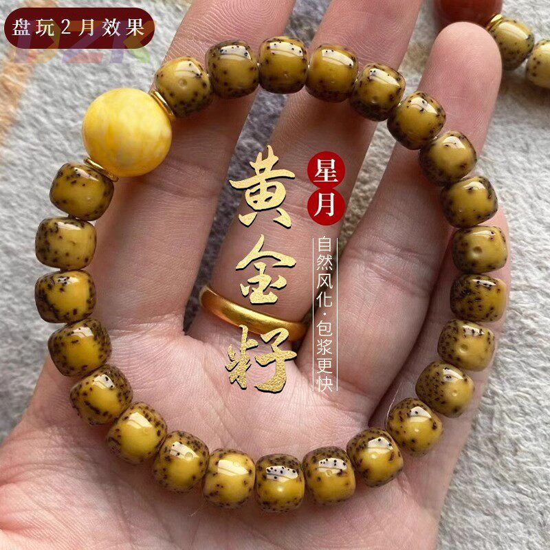 高端黄金籽星月菩提手串正品高密单圈文玩菩提子佛珠男女盘玩手y9