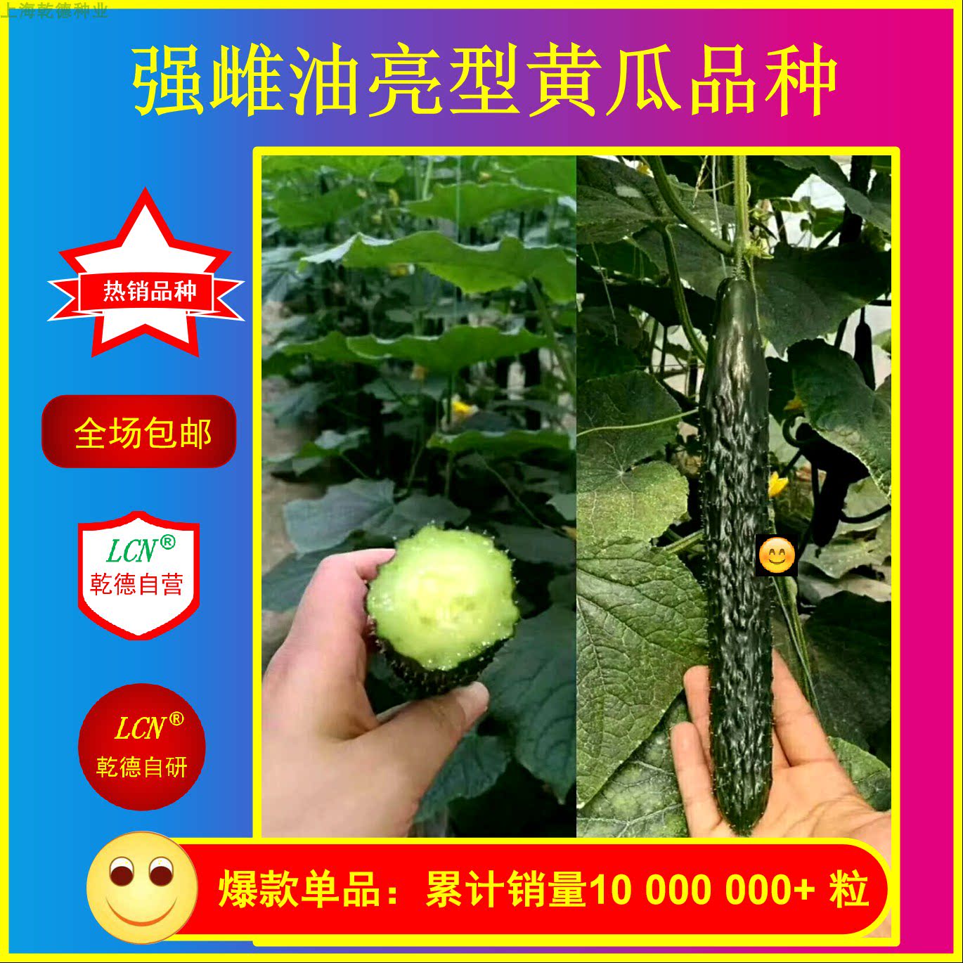 乾德777黄瓜种子 口感好 醉美大黄瓜品种 十佳蔬菜品种热销