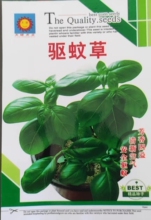 驱蚊草种子植物庭院室内防蚊室外清香木盆栽防蚊草避蚊香叶天竺葵