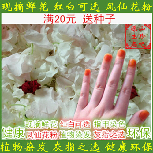白凤仙花新鲜染指甲花桃红花红色