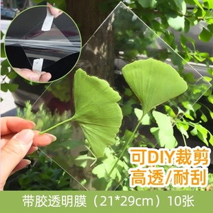 儿童自制干花植物标本收集袋册塑封膜春天的花草树叶制作书签鲜花