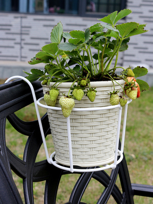 花架子阳台悬挂式花架铁艺栏杆护栏窗台绿萝吊兰花盆架挂架置物架