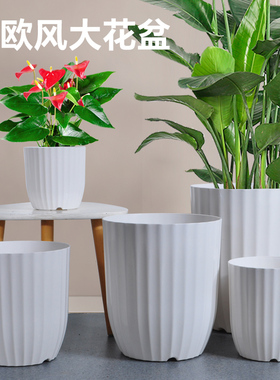 大口径花盆轻奢高级感花盆家用大号室内客厅简约塑料盆栽盆天堂鸟