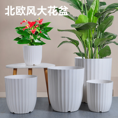 大口径花盆轻奢高级感花盆家用大号室内客厅简约塑料盆栽盆天堂鸟