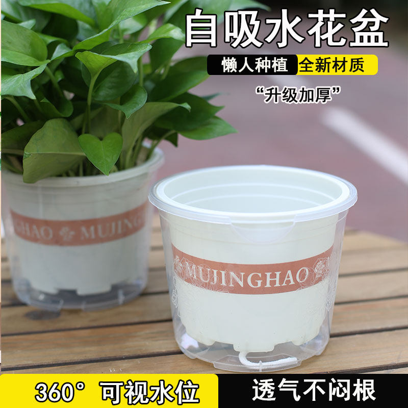 绿萝花盆懒人自动吸水双层塑料盆栽室内阳台免浇水透明储水加仑盆 - 暮景好园艺旗舰店出品
