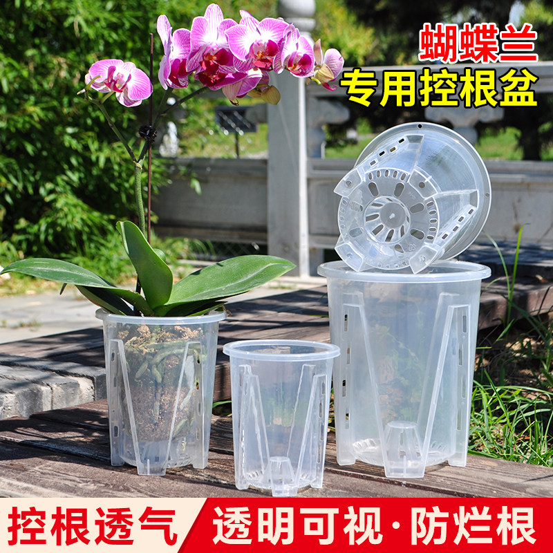 水苔蝴蝶兰专用花盆透明青山控根盆加厚大号透气兰花塑料花盆家用图片