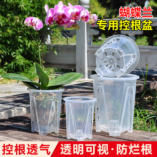 水苔蝴蝶兰专用花盆透明青山控根盆加厚大号透气兰花塑料花盆家用
