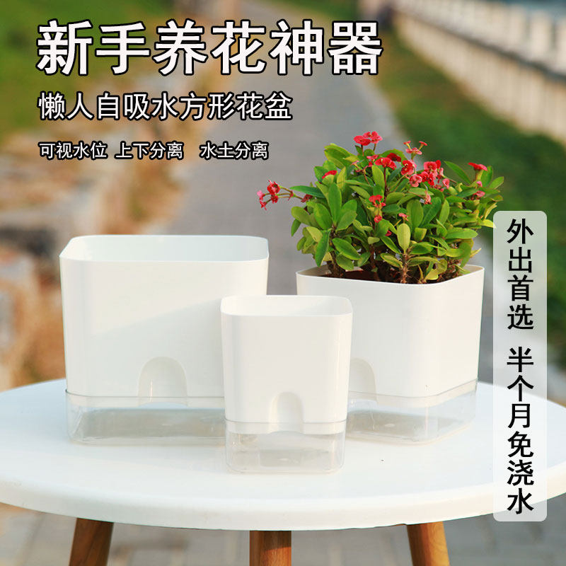 新款正方形免浇水花盆自吸水懒人盆网红多肉绿萝月季绣球耐用花盆