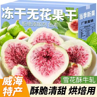 冻干无花果干雪花酥烘焙蛋糕装饰威海优质水果干果脆商用即食零食