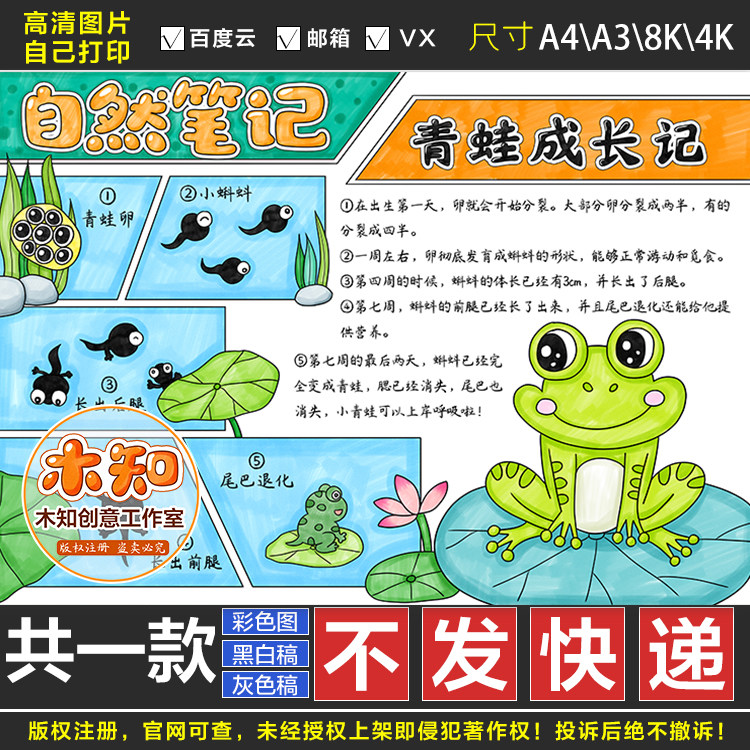 453自然笔记蝌蚪变青蛙生长记录手抄报线稿自然观察日记电子版