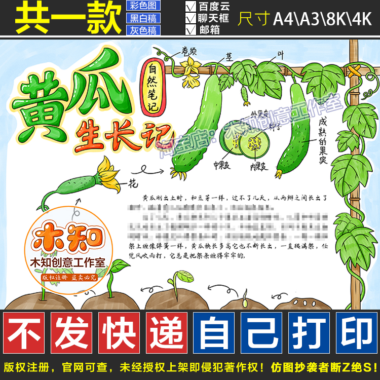 872号自然笔记黄瓜观察日记手抄报模板小学生记录植物生长成长