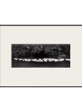 现抽象黑白摄影作品装饰画小众卡纸艺术客厅挂画餐厅酒店壁画