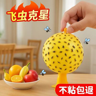 果蝇诱捕器小飞虫灭杀神器
